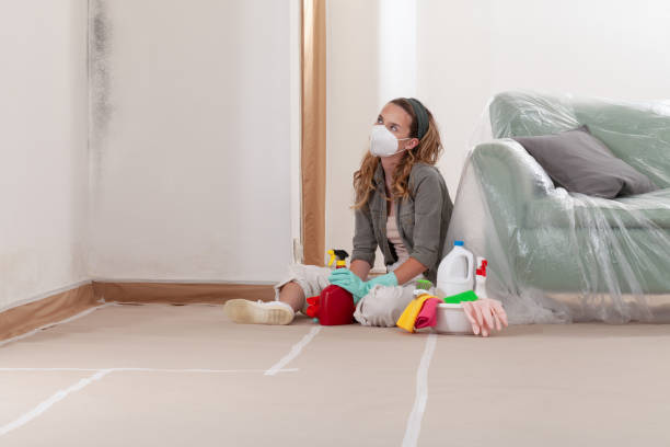 Reliable Mold Remediation contractor in Kingston, NJ by WQB Mold Removal